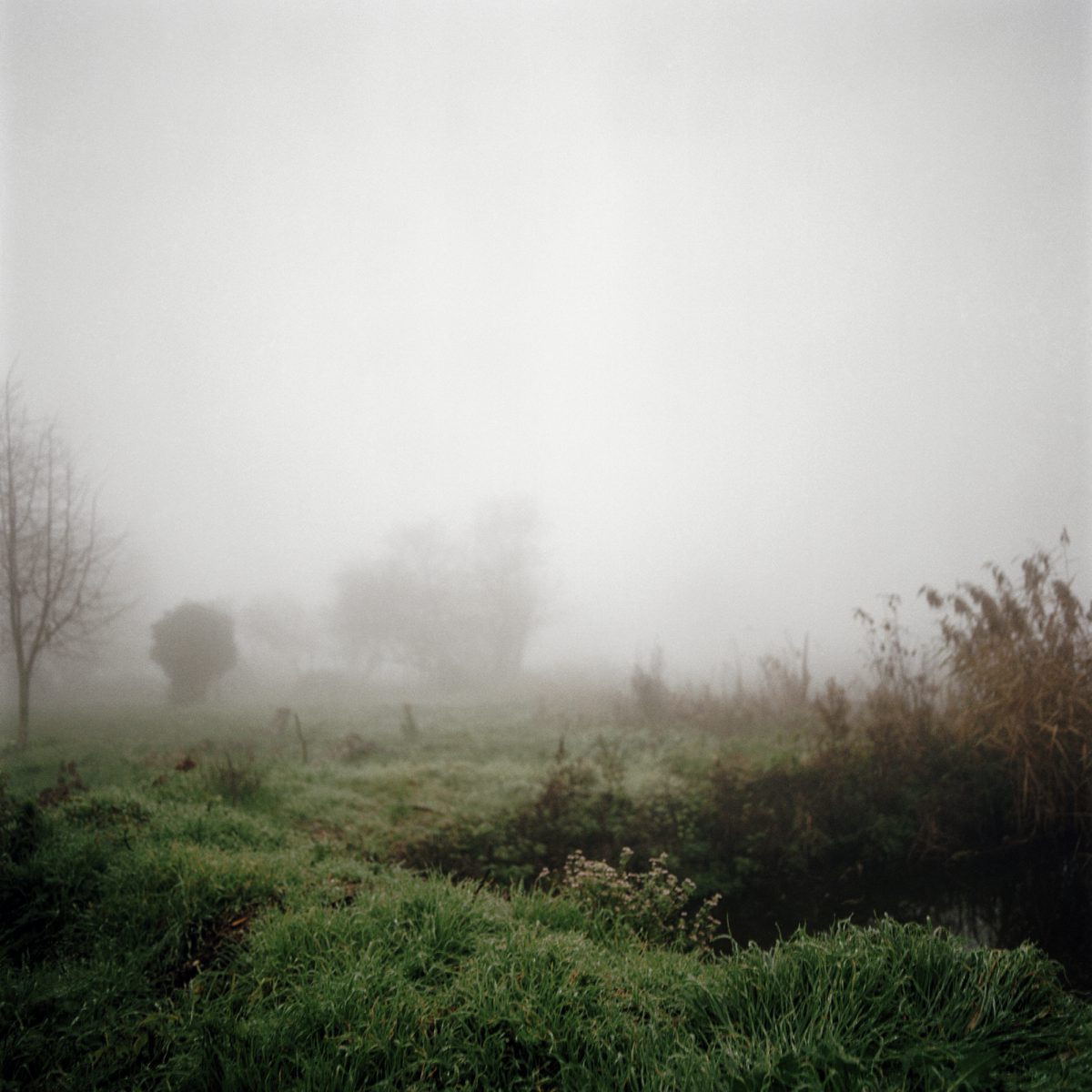 Horaires exposition – Magali Dougados – Echoes