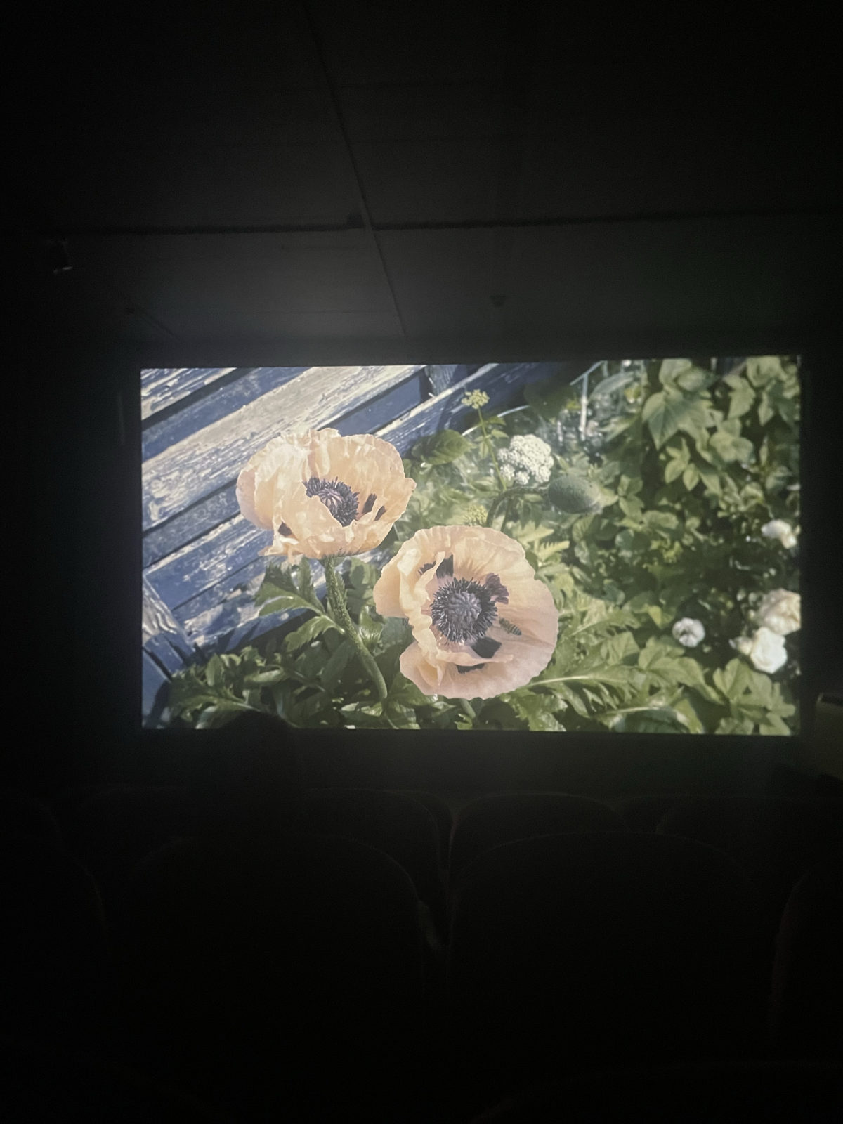 Labo au Cinema Dynamo, Centre d’Art Contemporain, Genüve. Owlet vision in a blinding time Part I.II